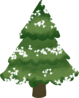 Pine tree watercolor paint png