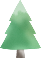 Pine tree watercolor paint png