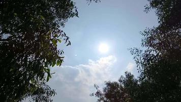 zonnig dag, lucht timelapse video