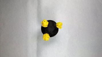 flor de cabaça esponja timelapse video