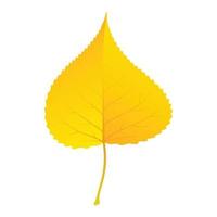 Yellow birch leaf icon, flat style vector