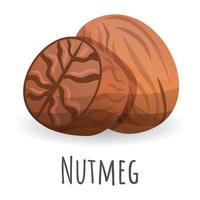 Nutmeg icon, cartoon style vector