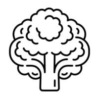 Vegan broccoli icon, outline style vector