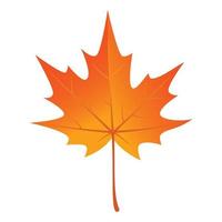 Autumn maple leaf icon, flat style vector