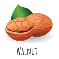 Eco walnut icon, cartoon style vector