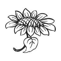 Sunflower icon, simple style vector