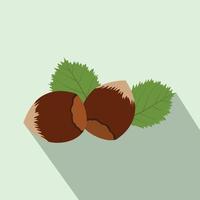 Hazelnut flat icon with shadow vector