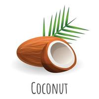 Coconut icon, cartoon style vector