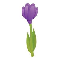 Crocus flora icon, cartoon style vector