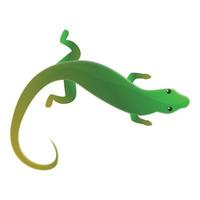 Top view lizard icon, cartoon style vector