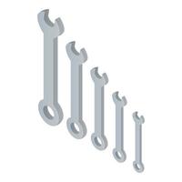 Set tool key icon, isometric style vector