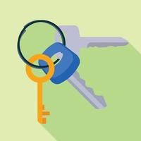 Door keys icon, flat style vector