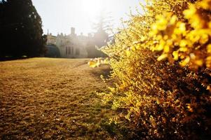 arbusto dorado contra el castillo de lednice con hermosos jardines y parques en el soleado día de otoño en el sur de moravia, república checa, europa. foto