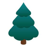 Fir tree icon, isometric style vector