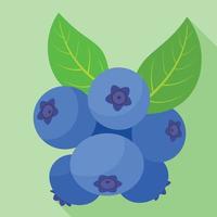 Fresh billberry icon, flat style vector