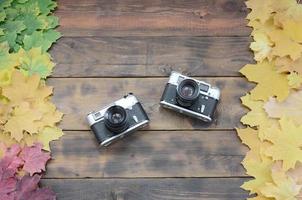 Two old cameras among a set of yellowing fallen autumn leaves on a background surface of natural wooden boards of dark brown color photo