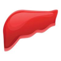 Human liver icon, cartoon style vector