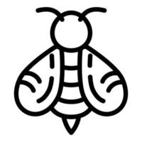 Honey bee icon, outline style vector