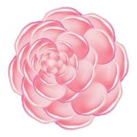 Pink camellia icon, cartoon style vector