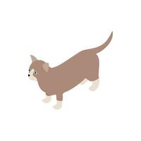 Munchkin cat icon, isometric 3d style vector