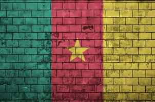 Cameroon flag is painted onto an old brick wall photo