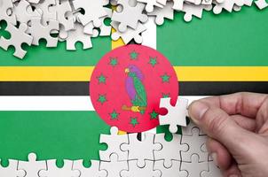 Dominica flag  is depicted on a table on which the human hand folds a puzzle of white color photo