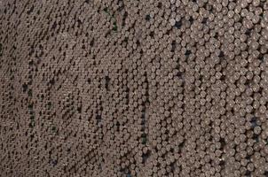 Pattern of 12 gauge cartridges for shotgun bullets. Shells for hunting rifle close up. Backdrop for shooting range or ammunition trade concepts photo