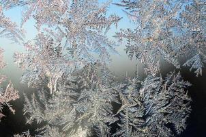 Snowflakes frost rime macro on window glass pane photo