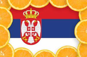 bandera de serbia en marco de rodajas de cítricos frescos foto