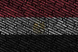 Egypt flag  is depicted on the screen with the program code. The concept of modern technology and site development photo