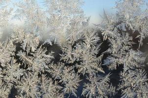 Snowflakes frost rime macro on window glass pane photo