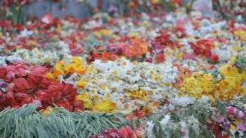 día de la victoria, un día festivo no laboral, que conmemora la capitulación de la alemania nazi ante la unión soviética durante la segunda guerra mundial. flores colocadas en un monumento, en letonia.