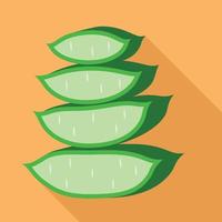 Cutted aloe icon, flat style vector