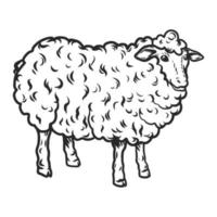 Sheep icon, hand drawn style vector