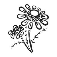 Branch of chamomile icon, simple style vector