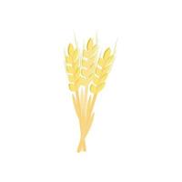 Three stalks of ripe barley isometric 3d icon vector