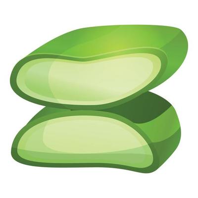 Cutted aloe vera icon, cartoon style