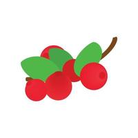 Cranberry with leaf isometric 3d icon vector