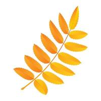 Rowan leaf icon, flat style vector