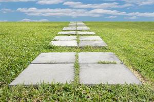 Walk way on the lawn with blue sky background photo