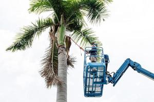 Gardener cutting branches on crane basket. unsafe concept photo