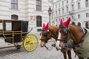 palacio de hofburg en viena, austria foto