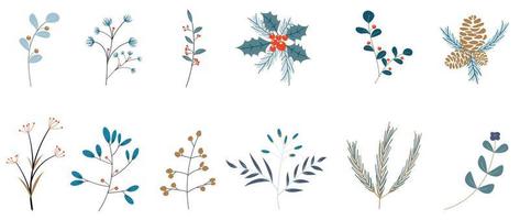Set of winter botanical leaves on white background. Collection of winter christmas foliage, pine leaf, holly, oak, eucalyptus, mistletoe. Design for print, sticker, decoration, card, poster, artwork. vector