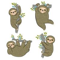 Set of sloths hanging on branches isolated on white background. Vector graphics.