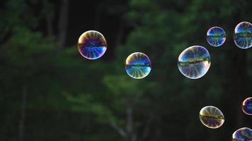 zeep bubbels drijvend in de lucht met natuurlijk groen wazig bokeh achtergrond voor kinderen en kinderen in de park video