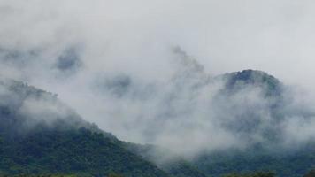 Nebel fließt durch das Bergtal im Khao Yai Nationalpark Thailand video