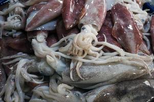 calamares frescos en un puesto del mercado. primer plano de calamar fresco en el mercado. foto