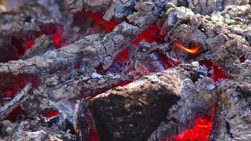 feu de bois flammes sur barbecue video