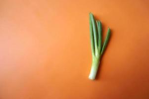 Leeks vegetable closeup isolated on orange background photo