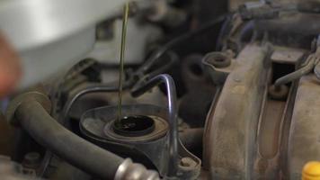 vers motor olie gegoten gedurende een olie verandering naar een auto
